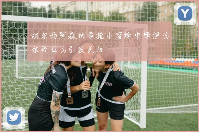 切尔西阿森纳争抢小蜜蜂中锋伊戈尔蒂亚戈引发关注