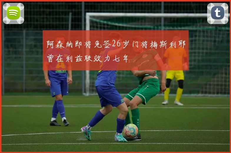 阿森纳即将免签26岁门将梅斯利耶曾在利兹联效力七年