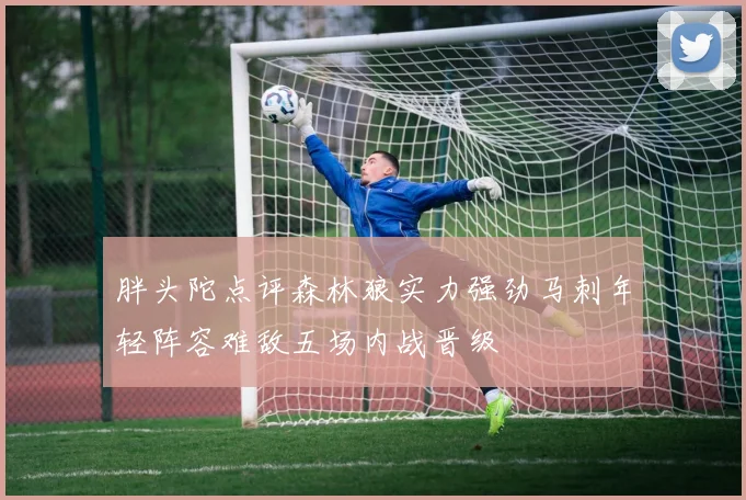 胖头陀点评森林狼实力强劲马刺年轻阵容难敌五场内战晋级